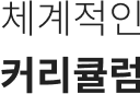 체계적인 커리큘럼